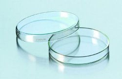 Glass petri dish<br>100 x 15mm